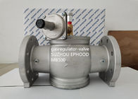 Itália Giuliani Anello fez a modelo de MB100-6B o regulador de pressão de alumínio do LPG com válvula cortada