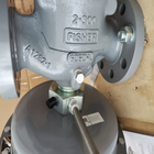 Fluxo alto Rate Fisher Gas Regulator 1098-EGR para o serviço corrosivo do oxigênio dos ambientes