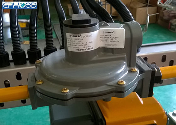 Design compacto de Fisher Gas Regulator Two Stage do equipamento de aquecimento do gás
